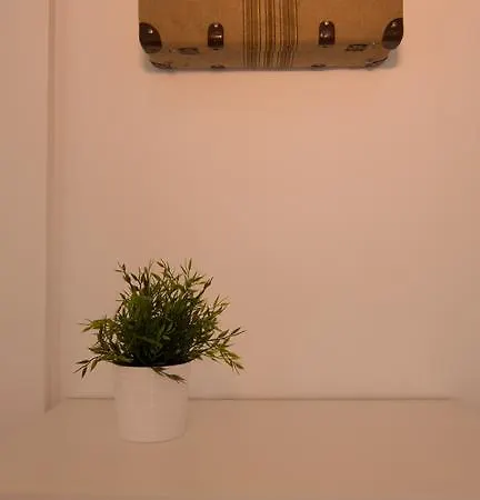 Wellrenting Sf Alicante